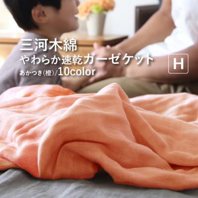 ふるさと納税 蒲郡市 三河木綿 ガーゼケット やわらか速乾 ハーフサイズ_あかつき[G0303]