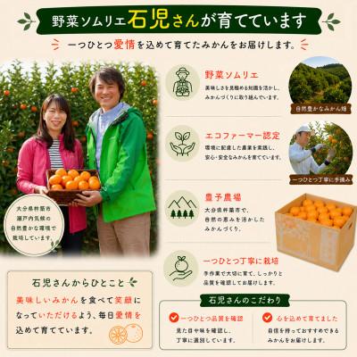 ふるさと納税 杵築市 【訳あり・規格外品】野菜ソムリエが育てた九州・大分県杵築産「ポンカン」10kg(サイズ混合不揃い) |  | 03