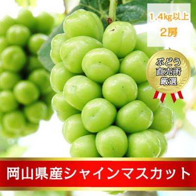 ふるさと納税 井原市 岡山県産シャインマスカット1.4kg以上(2房)[2026年9月上旬以降発送]