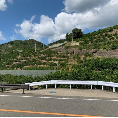 ふるさと納税 湯浅町 【11月上旬より順次発送】【数量限定】有田みかん 3kg 2S〜L サイズ混合 お試し |  | 03