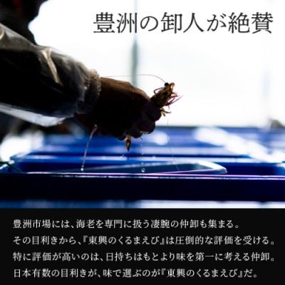 ふるさと納税 松浦市 豊洲市場で高評価を受け続ける車海老　東興のくるまえび600g(玄海活きくるまえび) |  | 01
