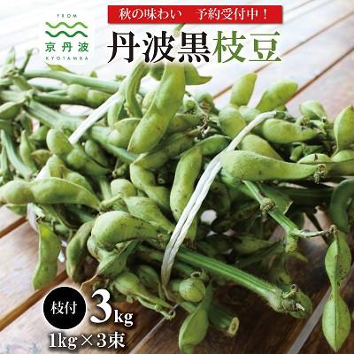 ふるさと納税 京丹波町 丹波黒枝豆 枝付 3kg(京都 京丹波町産 丹波黒大豆)