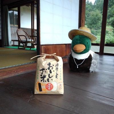 ふるさと納税 飯南町 カモしゃん米 精米5kg