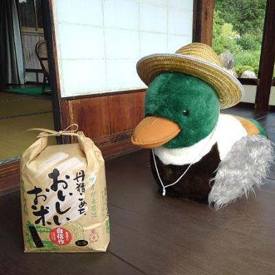 ふるさと納税 飯南町 カモしゃん米 玄米5kg