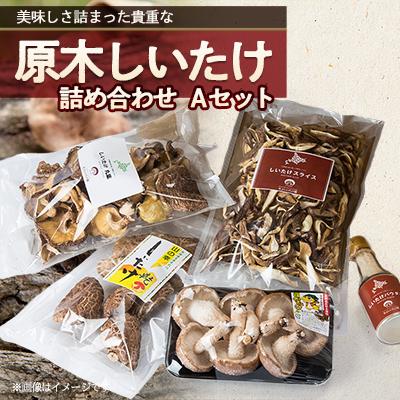 ふるさと納税 むかわ町 美味しさ詰まった貴重な原木しいたけ詰め合わせ Aセット