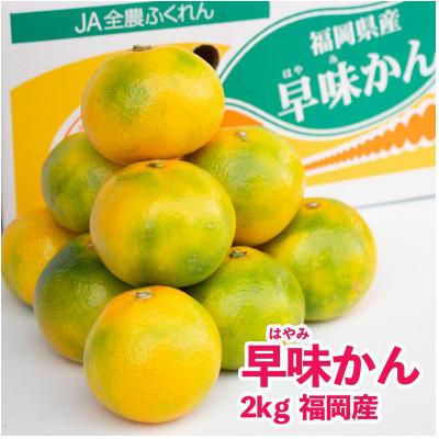 ふるさと納税 遠賀町 [先行受付]福岡限定!オリジナルブランドみかん「早味かん」約2kg(遠賀町)