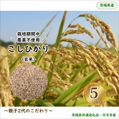 ふるさと納税 行方市 令和8年産新米[栽培期間農薬不使用]こしひかり玄米5kg