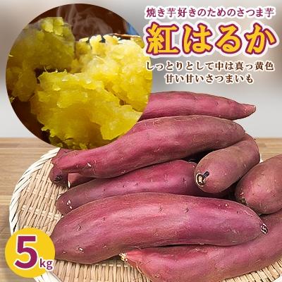 ふるさと納税 行方市 焼き芋好きのためのさつま芋 紅はるか5kg