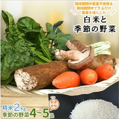 ふるさと納税 行方市 [身体が喜ぶ野菜]白米2kgと季節の野菜(おまかせ4〜5品)