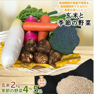 ふるさと納税 行方市 [身体が喜ぶ野菜] 玄米2kgと季節の野菜(おまかせ4〜5品)