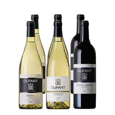 ふるさと納税 西桂町 笹一酒造OLIFANT[赤・白]750ml×6本