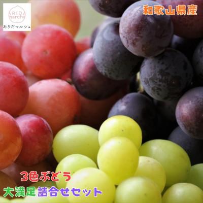 ふるさと納税 有田川町 [先行受付・2026年発送]農園直送 3色ぶどう詰め合わせ大満足セット 約4kg