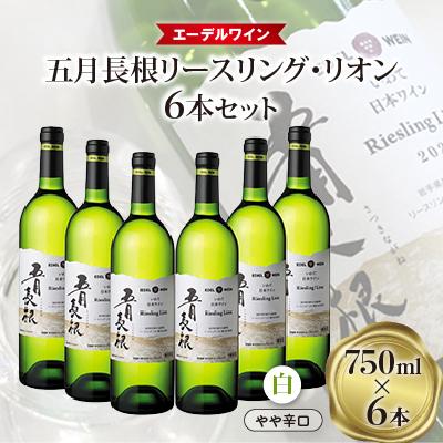 ふるさと納税 花巻市 エーデルワイン [五月長根リースリング・リオン 白(やや辛口)]6本セット