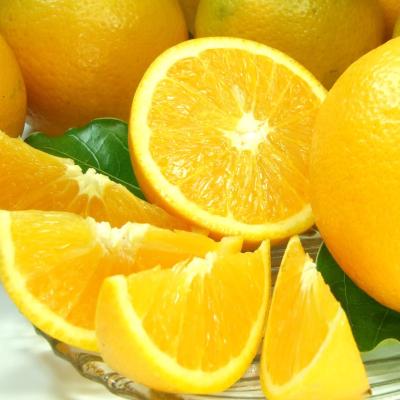 ふるさと納税 日高町 バレンシアオレンジ[約5kg]湯浅町田村産 春みかん(果実サイズおまかせ)