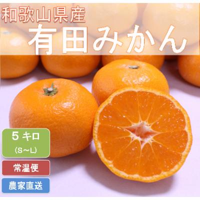 ふるさと納税 広川町 [11月下旬より順次発送]ひだまりみかん家のこだわり有田みかん5kg(S〜Lサイズ)