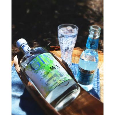 ふるさと納税 川越市 Japanese Craft GIN 棘玉 -TOGEDAMA- 700ml