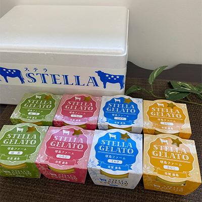 ふるさと納税 鹿島市 STELLAジェラート