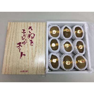 ふるさと納税 三豊市 [さぬき讃フルーツ]さぬきエンジェルスイートキウイ 約1kg化粧箱入り