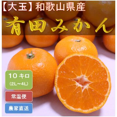 ふるさと納税 広川町 [11月下旬より順次発送][大玉] ひだまりみかん家の有田みかん 10kg