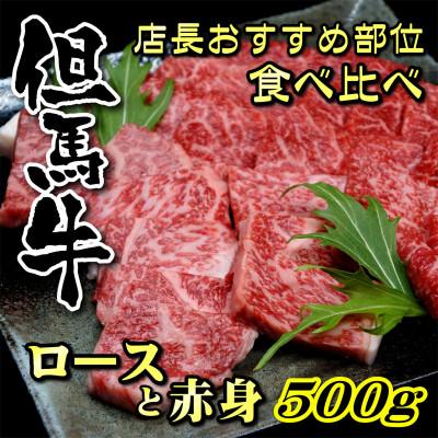 ふるさと納税 新温泉町 但馬牛ロースと赤身 店長おすすめ部位 食べくらべ 500g