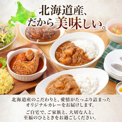 ふるさと納税 弟子屈町 【北海道】弟子屈牛すじカレー(中辛) 2個 3743 |  | 03