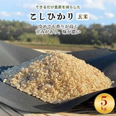 ふるさと納税 行方市 令和8年産新米[できるだけ農薬を減らした]こしひかり玄米5kg