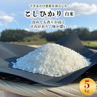ふるさと納税 行方市 令和8年産新米[できるだけ農薬を減らした]こしひかり白米5kg