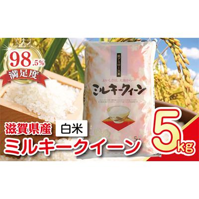 ふるさと納税 近江八幡市 [PRキャンペーン対象][7年産]近江米ミルキークイーン[5kg×1袋]
