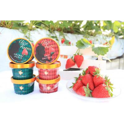 ふるさと納税 島田市 ありすふぁーむ 渡瀬のきらぴ香プレミアムいちごジェラート6個セット