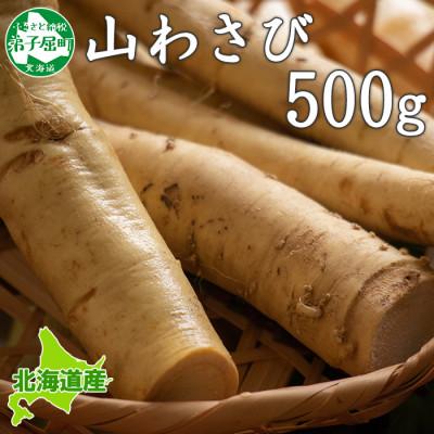 ふるさと納税 弟子屈町 [北海道] 天然 山わさび 500g前後 弟子屈町より直送 3166