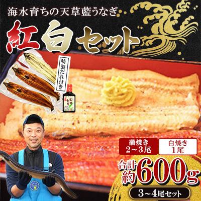 ふるさと納税 上天草市 希少!数量限定!海水育ちの天草藍うなぎ 紅白3〜4尾セット