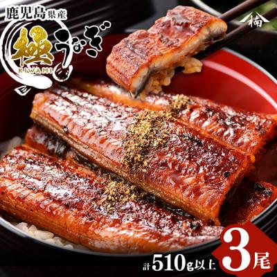 ふるさと納税 志布志市 b2-010 楠田の極うなぎ 蒲焼き 170g以上×3尾(計510g以上)