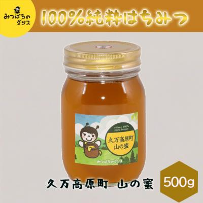 ふるさと納税 久万高原町 みつばちのダンス「久万高原町 山の蜜(500g)」