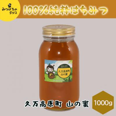 ふるさと納税 久万高原町 みつばちのダンス「久万高原町 山の蜜(1000g)」