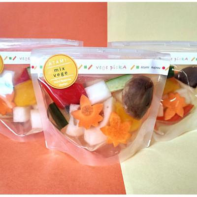 ふるさと納税 熱海市 vege pickA ミックスベジタブル (5袋セット) 岸浅次郎商店 熱海 カラフルピクルス