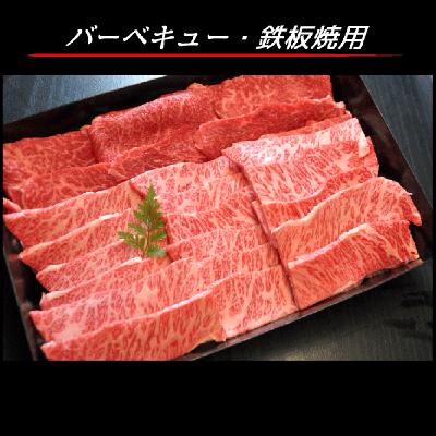 ふるさと納税 小田原市 相州黒毛和牛肩肉焼肉用 250g×2パック