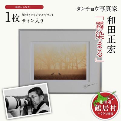 ふるさと納税 鶴居村 タンチョウ写真家 和田正宏 額付きオリジナルプリント「霧染まる」(サイン入り) 北海道鶴居村
