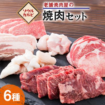 ふるさと納税 岡崎市 老舗焼肉屋の焼き肉セット(6種類)900g