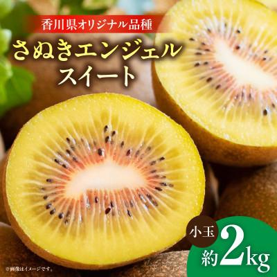 ふるさと納税 三木町 さぬきエンジェルスイートキウイ(小玉)約2kg