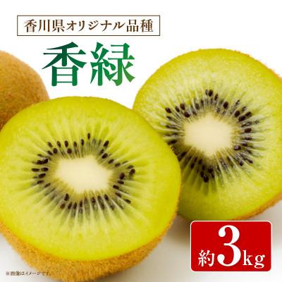 ふるさと納税 三木町 香緑(こうりょく)キウイ 約3kg