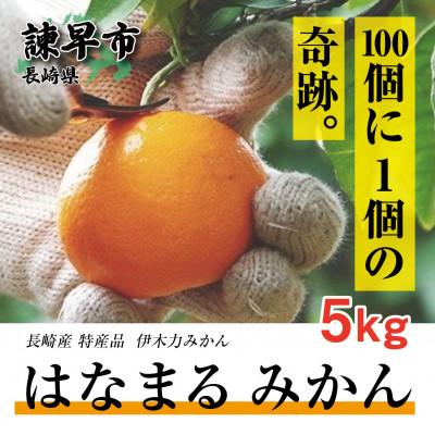 ふるさと納税 諫早市 [先行予約][伊木力みかん]はなまるみかん5kg