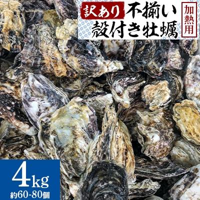 ふるさと納税 さぬき市 [訳あり]不揃い殻付き牡蠣4kg(約60-80個)/加熱用