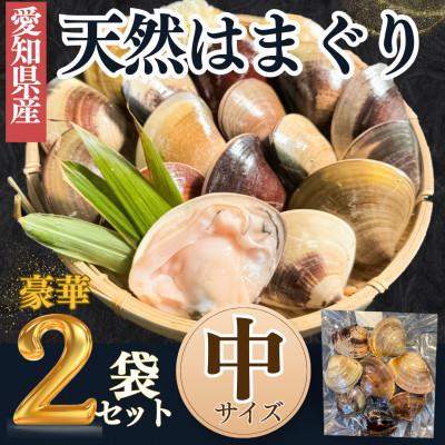 ふるさと納税 南知多町 [愛知県産]天然 はまぐり 中サイズ 殻付きボイル冷凍 500g×2袋[加熱調理・真空パック]蛤