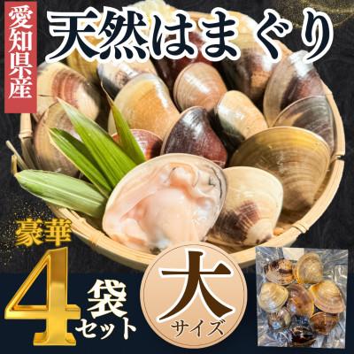 ふるさと納税 南知多町 純国産 [貝専門店] 天然 はまぐり 大サイズ 500g×4袋 岬だより