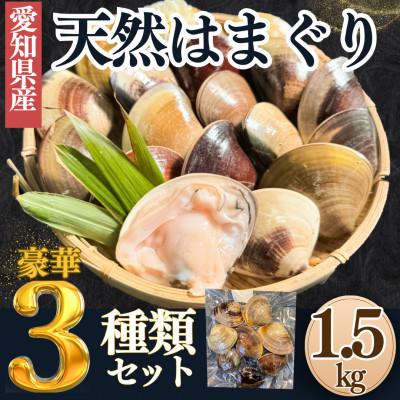 ふるさと納税 南知多町 [愛知県産]天然はまぐり 3種セット 1.5kg[加熱調理済]岬だより