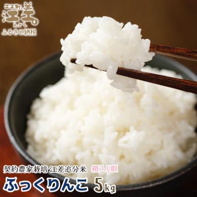 ふるさと納税 江差町 [令和7年新米先行予約]契約農家栽培 江差追分米『ふっくりんこ』[5kg]
