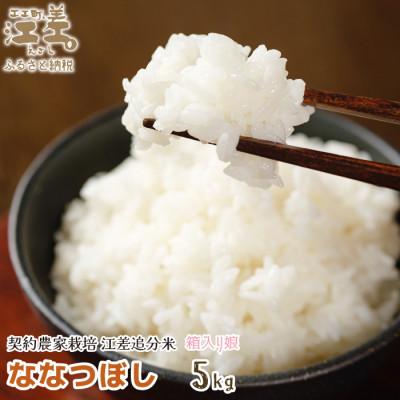 ふるさと納税 江差町 [令和7年新米先行予約]契約農家栽培 江差追分米『箱入り娘 ななつぼし』[5kg]