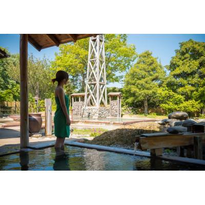 ふるさと納税 能美市 [星空を眺める混浴露天]辰口温泉たがわ龍泉閣 温泉半露天風呂付客室「椿苑」ペアー宿泊券(1泊2食付)