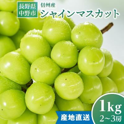 ふるさと納税 中野市 2026年発送 【信州産】シャインマスカット1kg