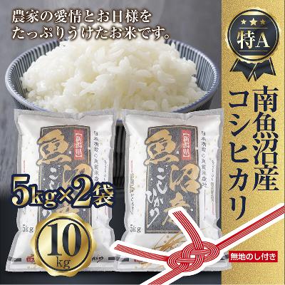 ふるさと納税 南魚沼市 [無地のし]南魚沼産 コシヒカリ お米 5kg×2袋 10kg 精米済み(美味しい炊き方ガイド付き)